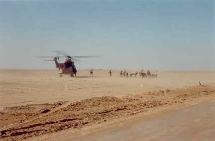 OP SCALPEL Brit pows1.jpg