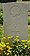 Johnston, Evan Llewellyn grave marker.jpg