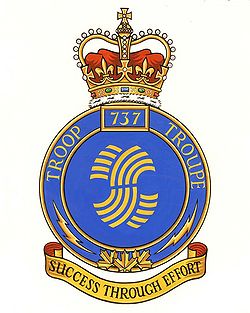 Unit crest 737 Comm Tp.jpg