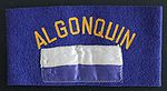 Armlet Algonquin Signals (front).jpg